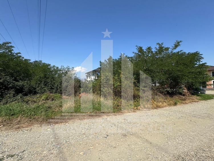 Teren intravilan | 800 mp | 22 ml deschidere | Alba-Micesti