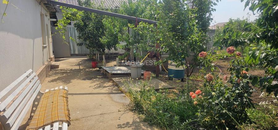 Casa la sol cu teren 1055 mp si livada - Vanatori, Galati - 6