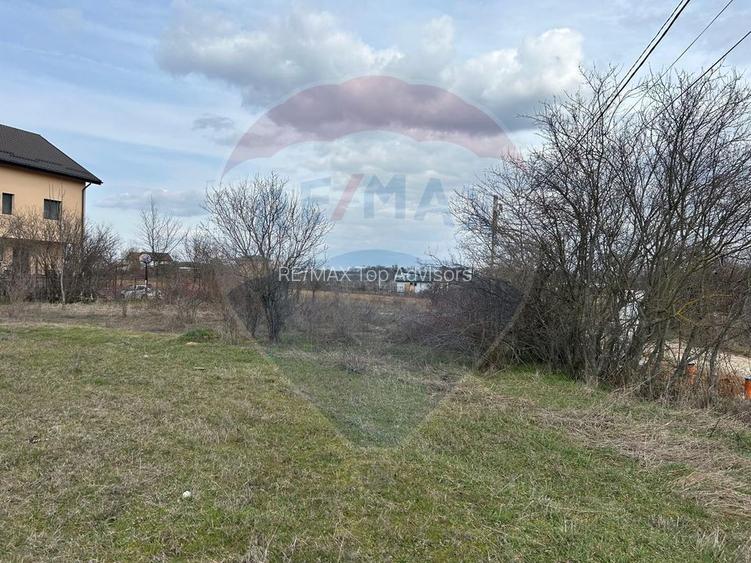 Vanzare Teren Izvorani / Strada Gradinarilor/Complex Olimpic - 11
