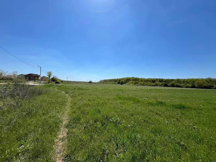 Teren extravilan 4500 MP, cu PUZ, Grigorescu , Oradea.