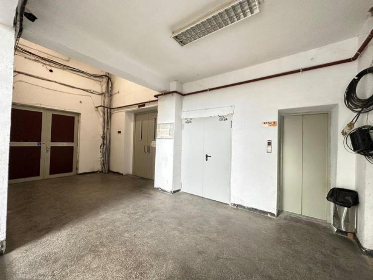 Spatiu comercial/industrial Theodor Pallady IOR