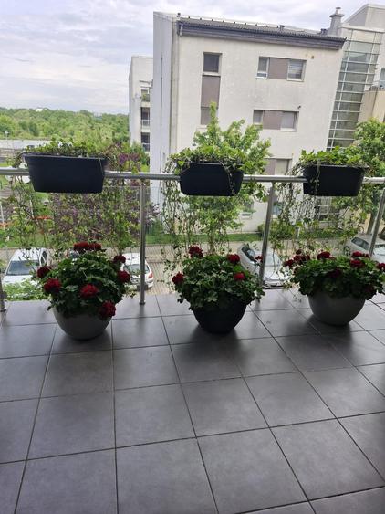 Baneasa-Felicty Resident-lux