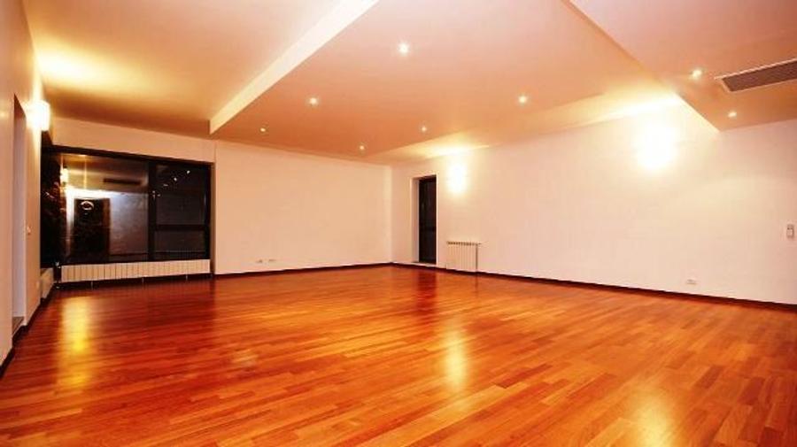 Apartament nemobilat Herastrau