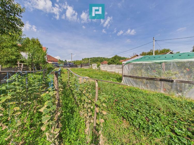 Casă și centru comercial, în localitatea Lazuri