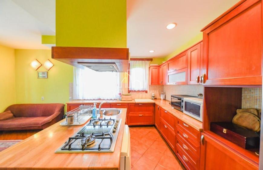 Vila/Proprietate Speciala, 500mp utili, 3300mp teren, Sangeorgiu de Ms
