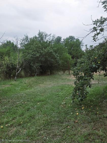 Casa de inchiriat in Clinceni-Olteni la doar 15km de Bucuresti