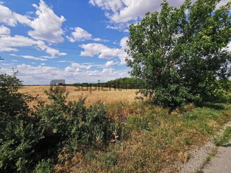 De vânzare teren extravilan, 11,600 mp, Salonta