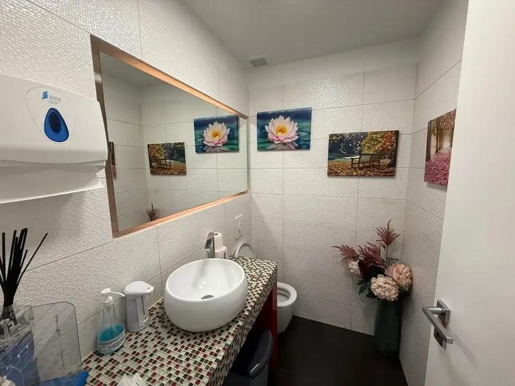 Spatiu Comercial Alexandru Constantinescu | Piata Domenii | Stradal