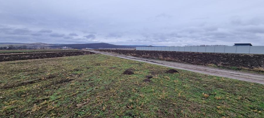Loturi de teren intravilan la Tulbureni