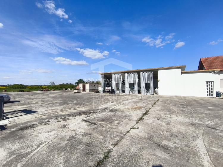 Casa cu 4 camere cu teren de 14,340 mp + platforma de beton cu hala - 10