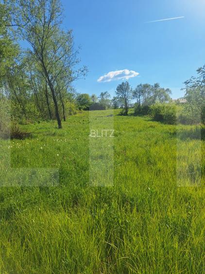 Teren de vânzare 1.600 mp cu deschidere la lac – zona Lacul Surduc - 10