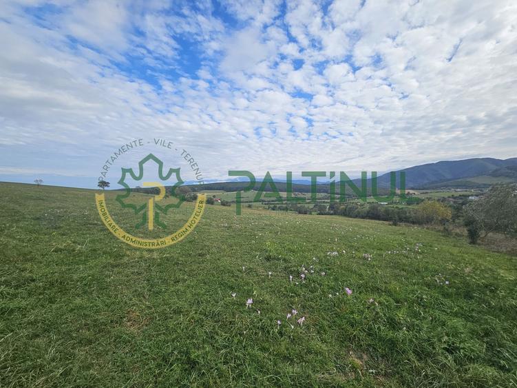 Teren de vanzare ,Tocile, Sibiu, case de vacanta si locuinte