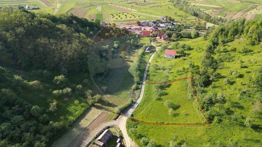Comision 0! Teren intravilan 2.339 mp Barsana – oferta rara