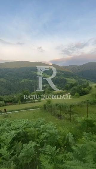 Teren 10.900mp | Panoramă în Apuseni | Remeți -Ideal pentru Investitii