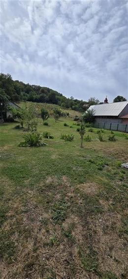 Teren intravilan + extravilan 10.537 mp – casa, livada sau ferma de familie