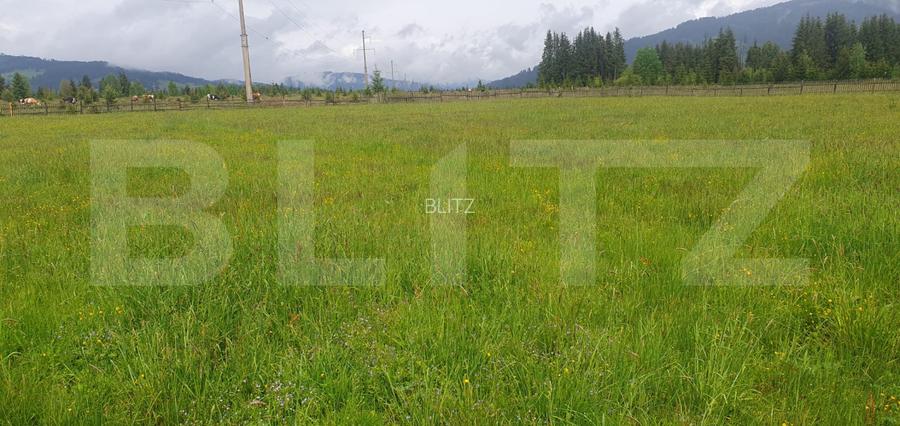 Teren extravilan, 6200 mp, zona Saru Dornei - Vatra Dornei - 3
