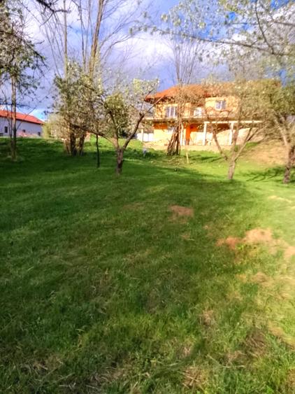 Gospodarie, casa cu 5 camere si 8272 mp teren, in Oarda