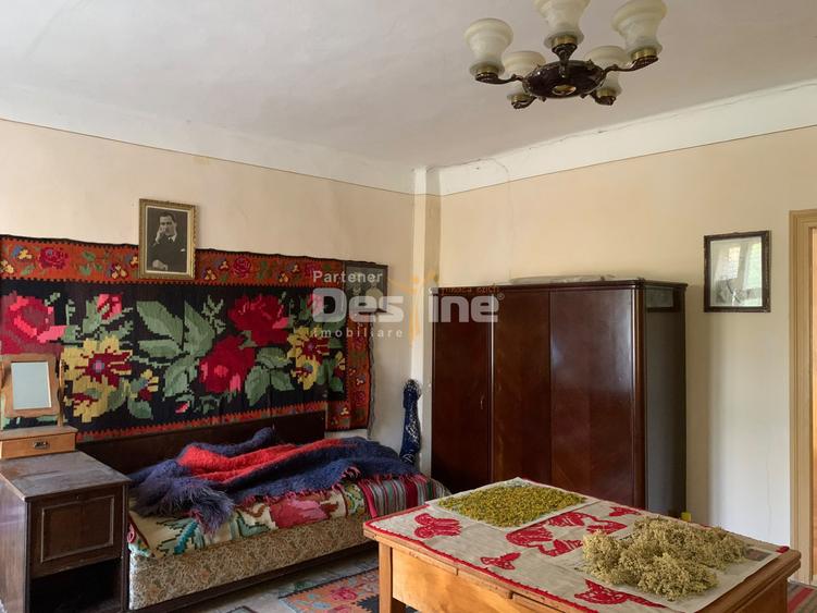 Gospodărie completă cu 2.793 mp teren și multiple anexe, Brustoasa-Bacau