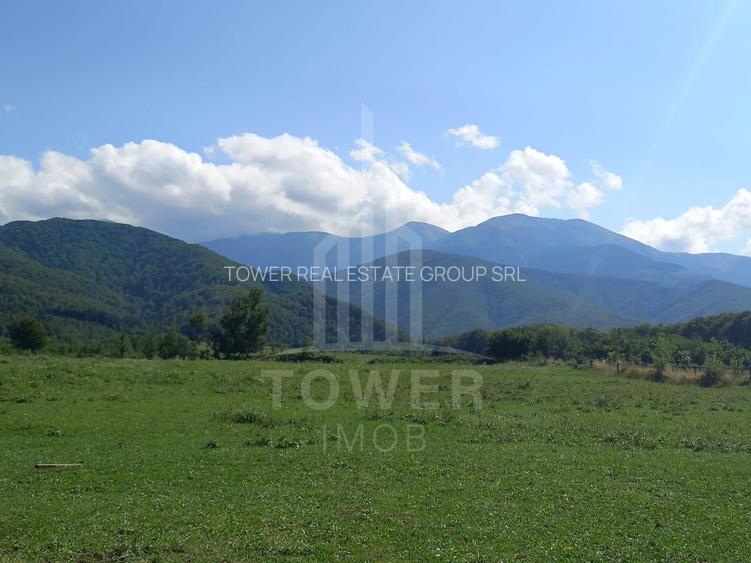 Teren intravilan de vânzare | Valea Avrigului-Porumbacu de Jos - 2