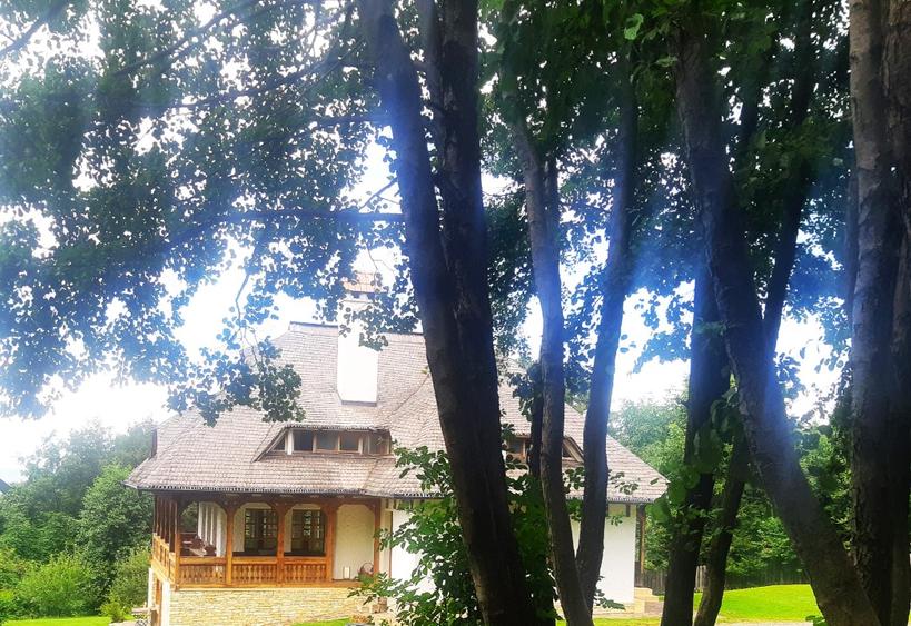 Pf. vand casa individuala D+P+M in Salicea-Cluj, curte- 3000mp