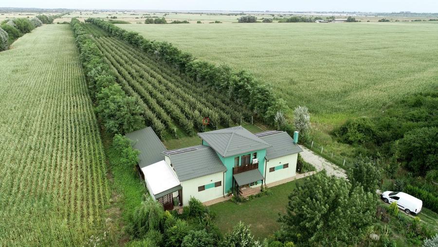 Vila + Afacere 15.000mp Clinceni