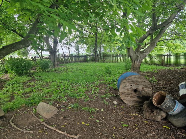Casa la 5 km de Targu-Neamt - cu iaz si livada matura - gata pentru mutat