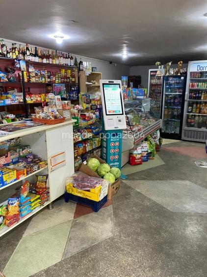 Vand casa cu livada si solar + spatiu comercial in sat Cismele (1498 mp) - 2