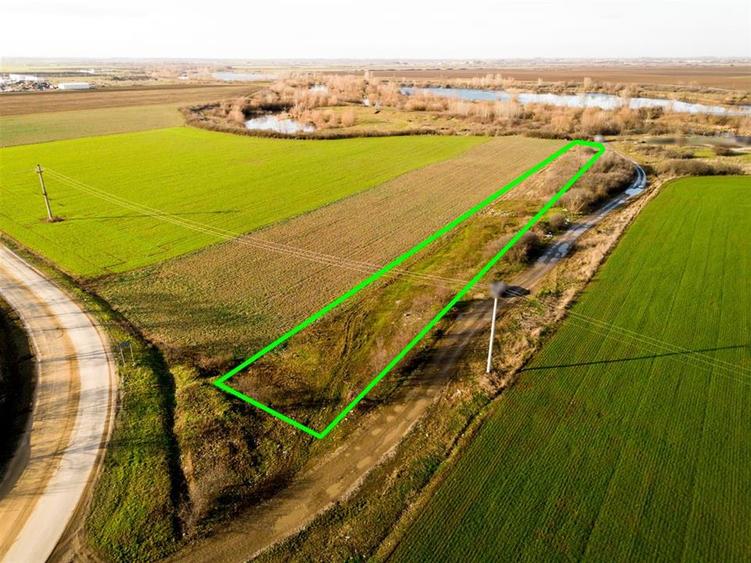 RECO Teren extravilan 2500mp in Palota