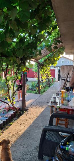 Vindem Casa in Lumina