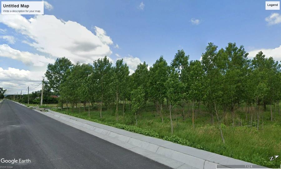 Vand parcele PADURE seculara stejar, N.Balcescu Valcea, la drum, conditii CABANA