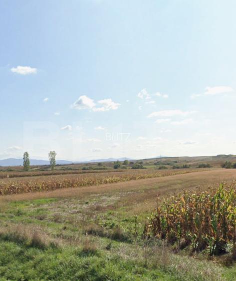 Teren de vanzare la drumul judetean, Pericei, zona Keller. - 2