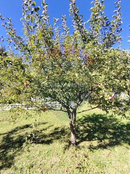 Casă în Vatra Dornei, zona Argestru, cu 11.541m.p. TEREN INTRAVILAN - 11