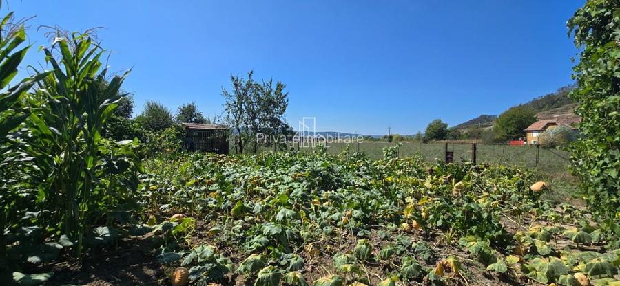 Casă de vânzare, în exclusivitate, sat Boiu nr. 484 - 19