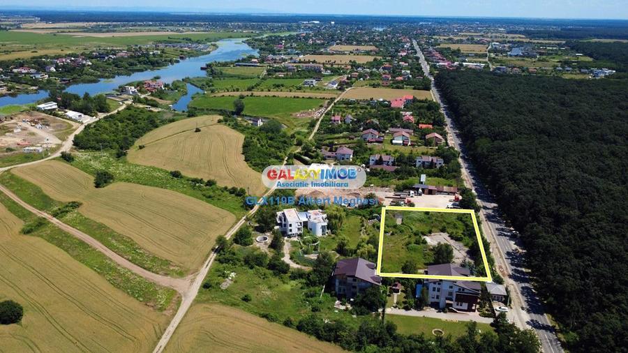 Vanzare teren intravilan 5000 mp Snagov Ciofliceni - 26
