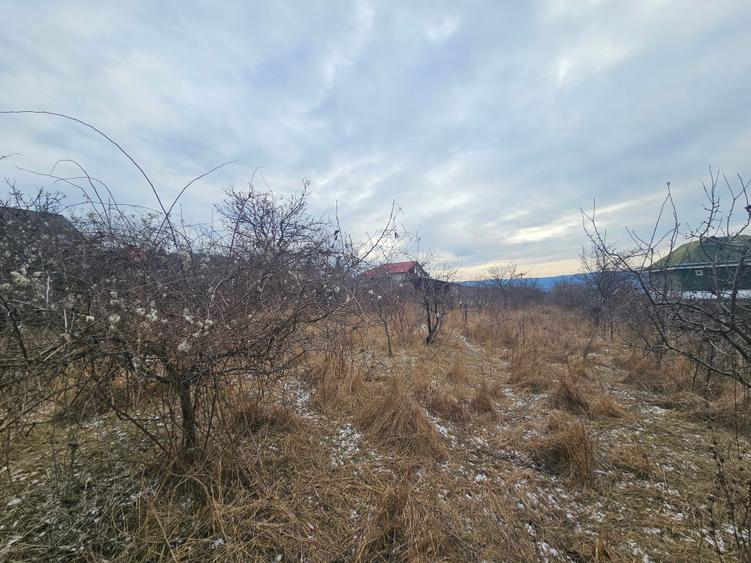 Teren situat in zona Bucium- Pietrarie