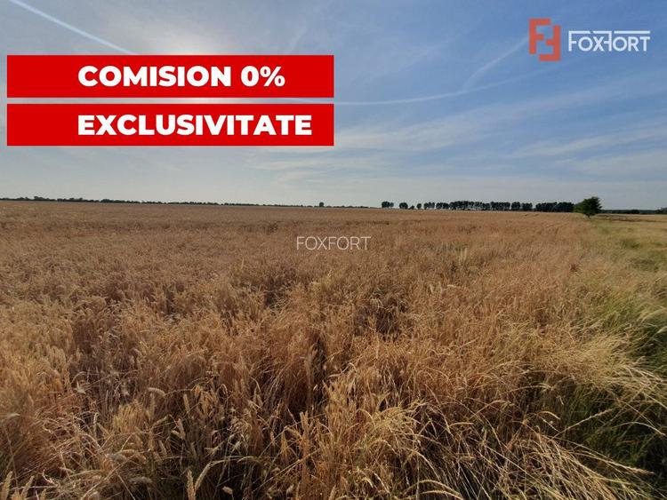COMISION 0% Teren de vanzare intravilan de 24.700 mp - Padureni - 11