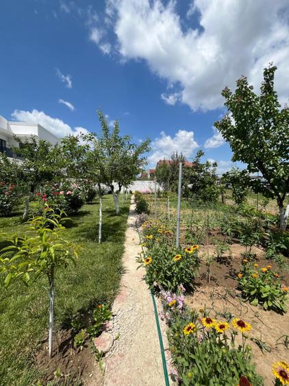 Casa impecabila P+1, 274 mp, cu 1128 mp teren si livada, zona Popoveni