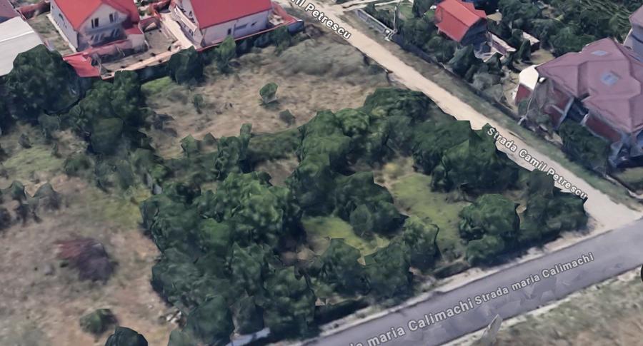 Teren Intravilan 1.000 mp | Tunari | Ideal Investiție |