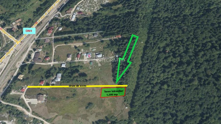 Teren intravilan 1.200 mp Malu Ursului - Predeal - 5