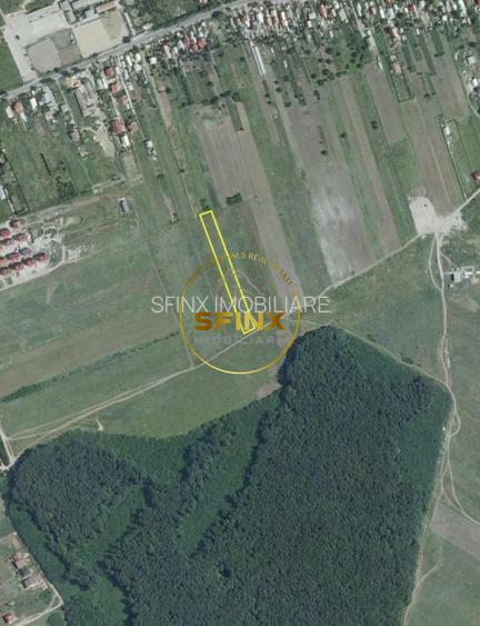 Corbeanca 2000 mp | deschidere 22 m la drum asfaltat | padure | utilitati - 8