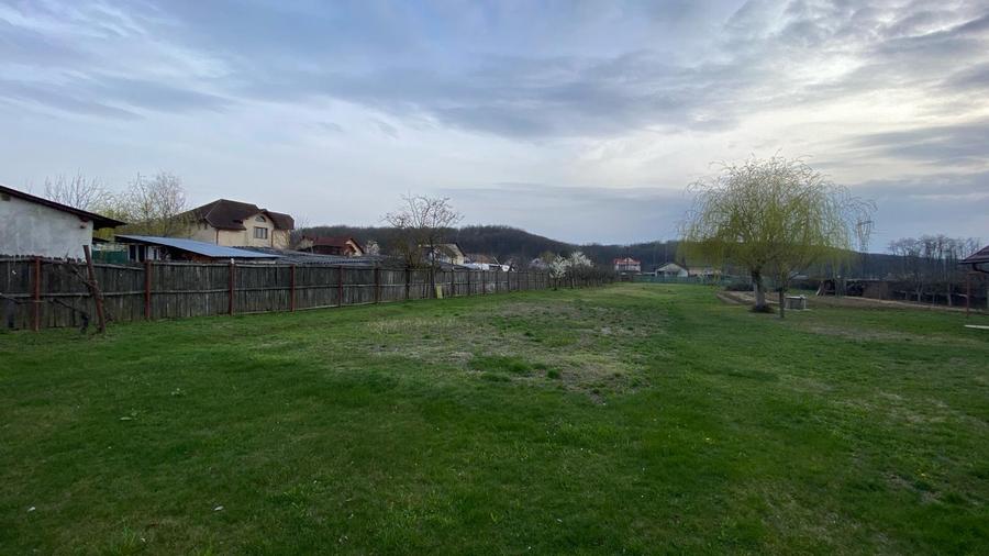 Teren intravilan S= 1499 mp, Labusesti, Bascov - idealimob.ro
