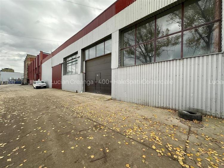 Hale Calea Chisinaului Iasi, langa Leroy Merlin, de la 250mp la 1100mp - 2