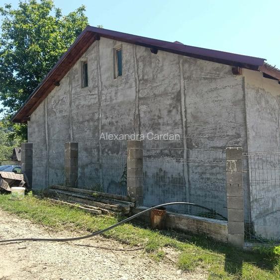 Casa de vanzare cu teren agricol  - 3
