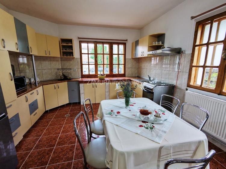 Conac modern cu deal propriu: 399 mp casă, 4828 mp teren - 8