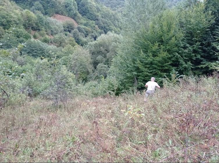 Proprietar-Vând două terenuri, unul de 7.100 mp, celălalt de 25.000 m2