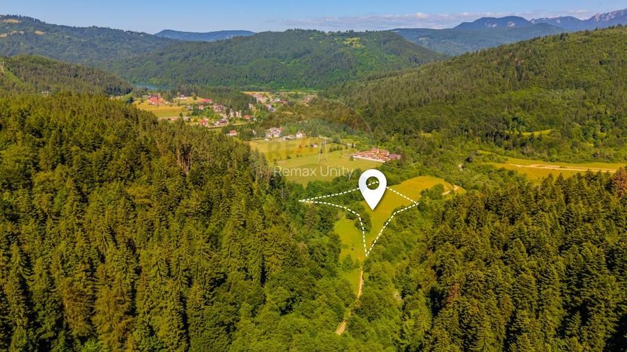 Teren 7300mp Sacele -zona Brădet/ Intravilan/ COMISION 0%