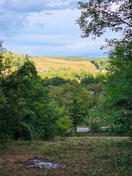 Teren cu priveliste spre vale, la padure, zona linistita, la 1h30 de Bucuresti