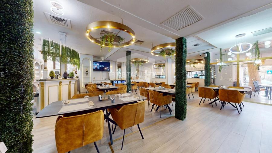 Spatiu comercial cu teren Arcul de Triumf - 4