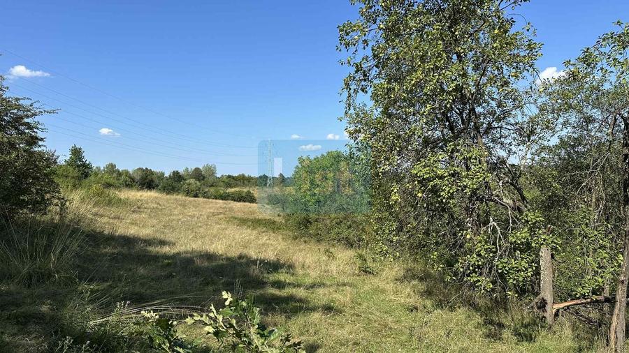 Vânzare teren Reșița: 17260 mp, Calea Caransebeșului