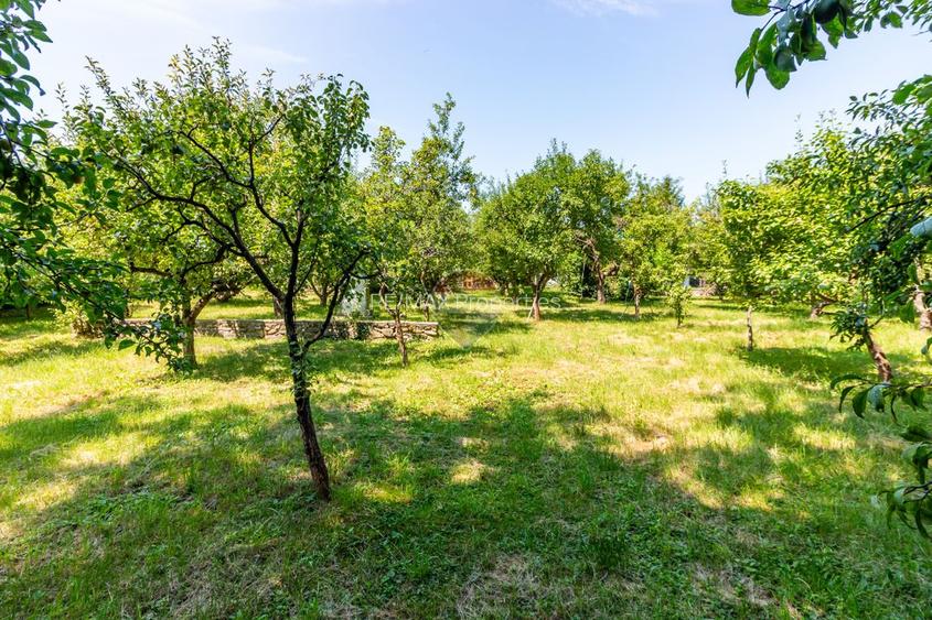 Casă/Vila tip conac, cu anexe si livada de vânzare Valenii de Munte - 23